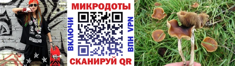 Галлюциногенные грибы GOLDEN TEACHER  Волжск 
